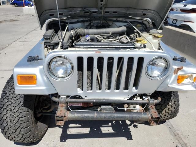 2002 Jeep Wrangler / TJ Sport