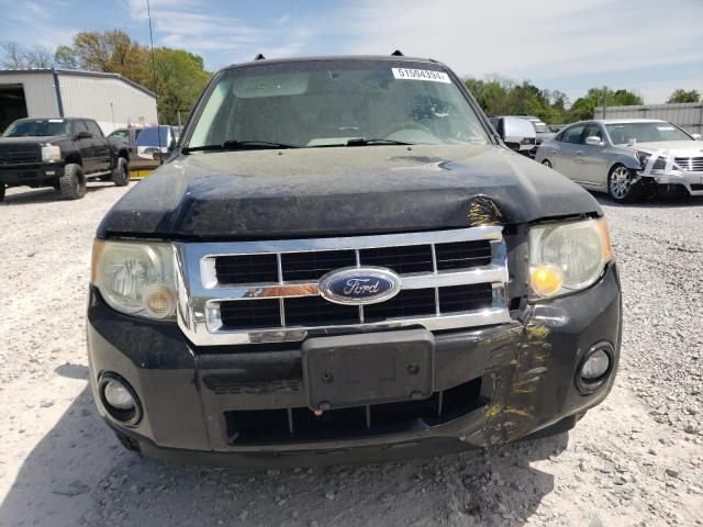 2008 Ford Escape XLT