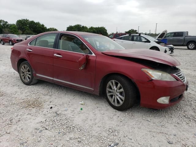 2010 Lexus ES 350