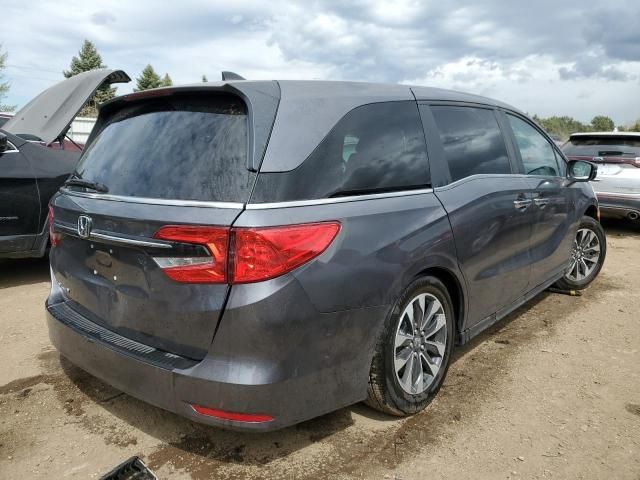 2024 Honda Odyssey EXL