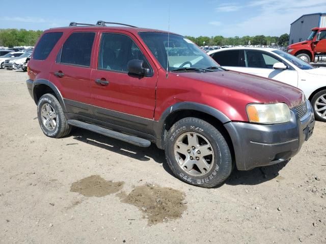 2004 Ford Escape XLT