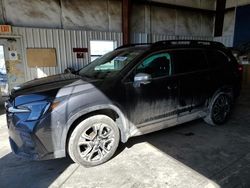 Salvage cars for sale from Copart Helena, MT: 2023 Subaru Ascent Touring