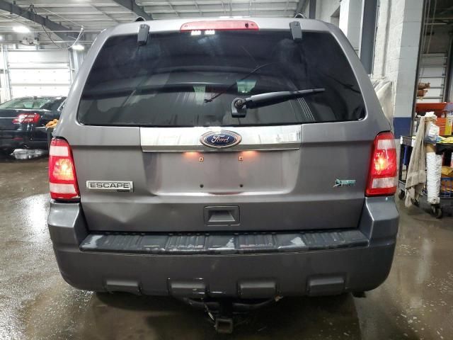 2010 Ford Escape Limited