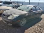 2002 Lexus ES 300