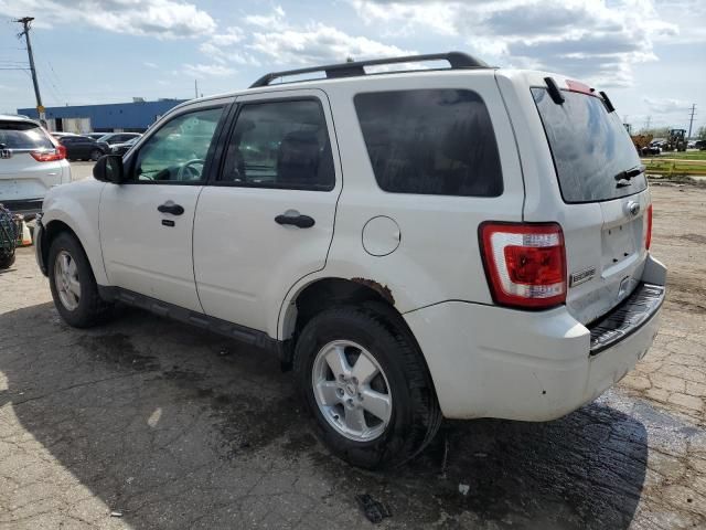 2011 Ford Escape XLT