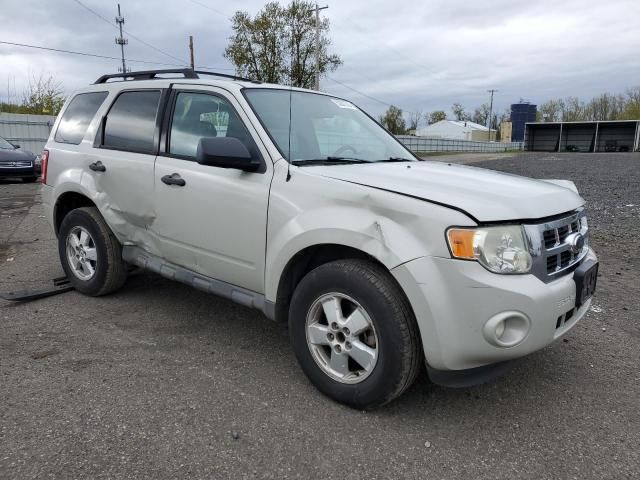 2009 Ford Escape XLT