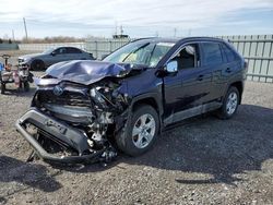 Toyota rav4 xle salvage cars for sale: 2019 Toyota Rav4 XLE