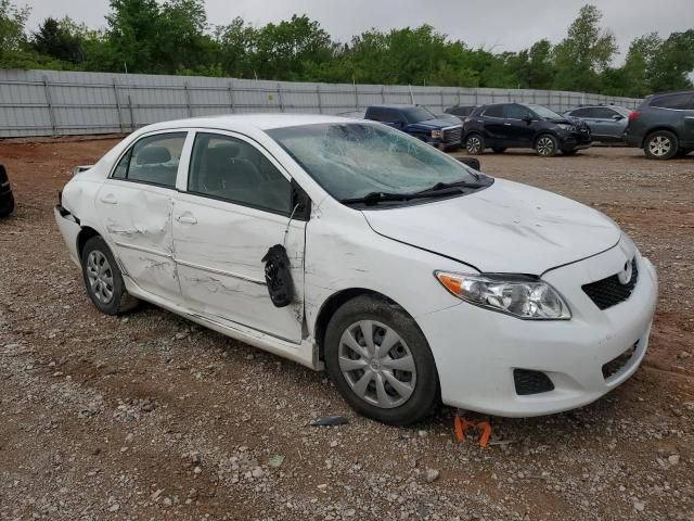 2010 Toyota Corolla Base