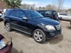 2010 Mercedes-Benz ML 350 4matic