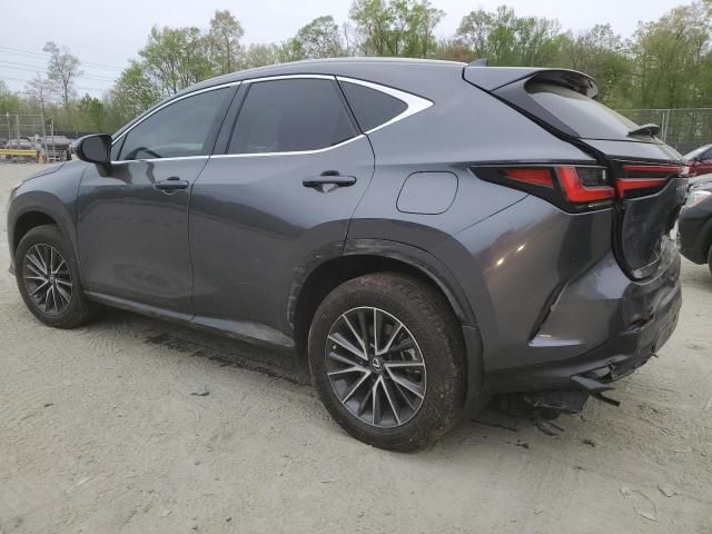 2022 Lexus NX 350H