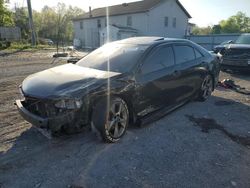 Salvage cars for sale from Copart York Haven, PA: 2014 Toyota Camry SE