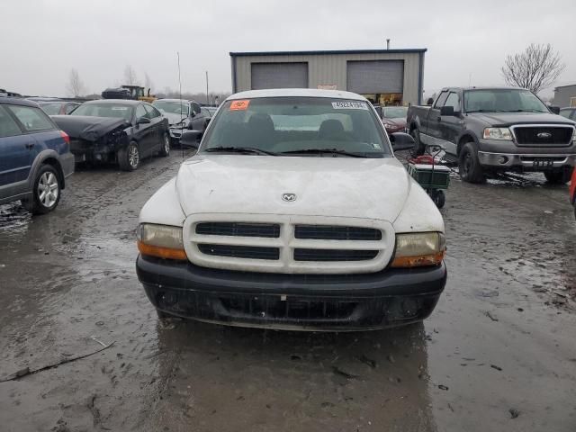 2000 Dodge Dakota