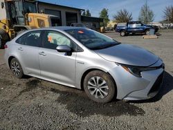 2020 Toyota Corolla LE for sale in Eugene, OR