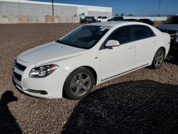 Chevrolet Malibu salvage cars for sale: 2008 Chevrolet Malibu 2LT