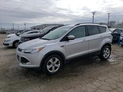 Ford Escape Vehiculos salvage en venta: 2016 Ford Escape SE