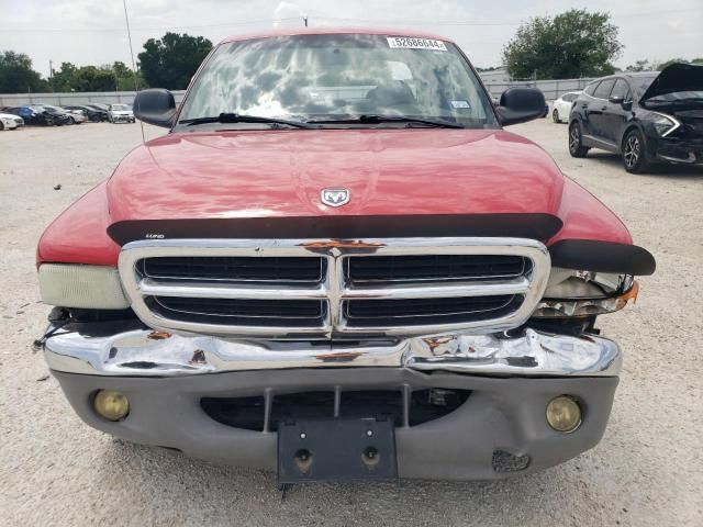 2003 Dodge Dakota Quad SLT