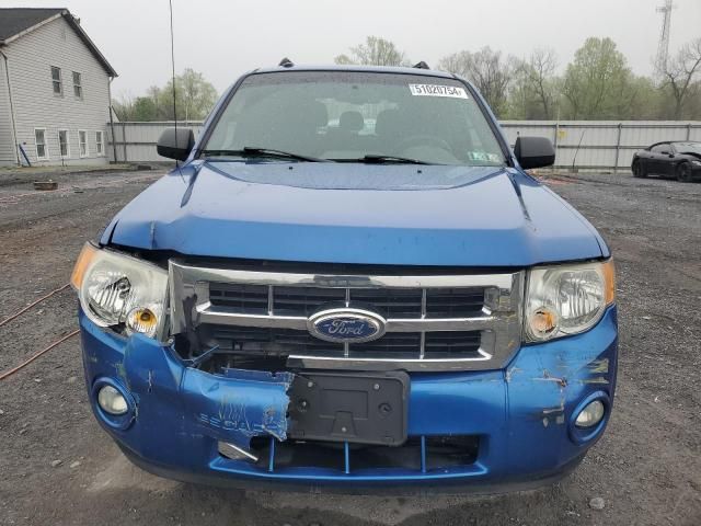 2011 Ford Escape XLT