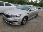 2013 KIA Optima Hybrid