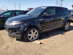 Land Rover salvage cars for sale: 2013 Land Rover Range Rover Evoque Pure Plus