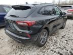 2023 Ford Escape ST Line