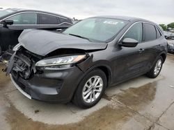 Salvage cars for sale from Copart Grand Prairie, TX: 2020 Ford Escape SE