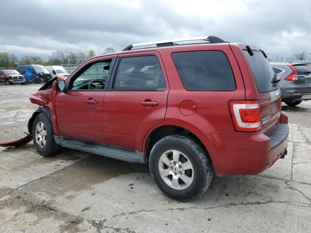 2012 Ford Escape Limited