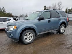 Ford Escape salvage cars for sale: 2011 Ford Escape XLT