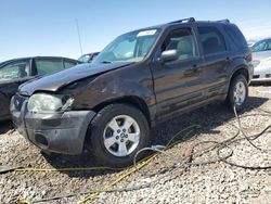 2006 Ford Escape XLT for sale in Magna, UT