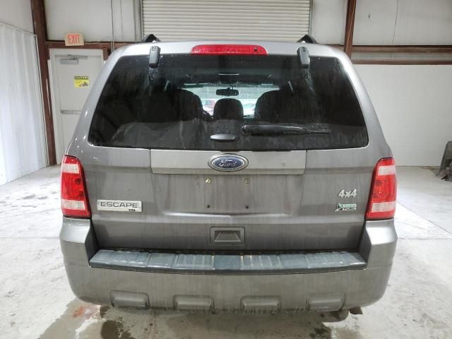 2011 Ford Escape XLT