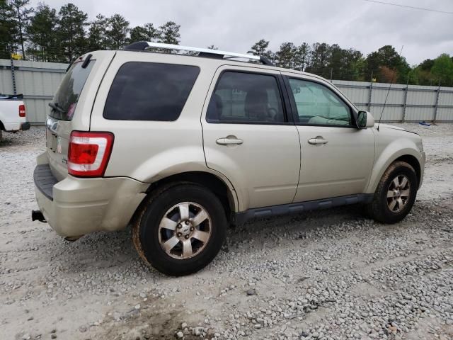 2010 Ford Escape Limited