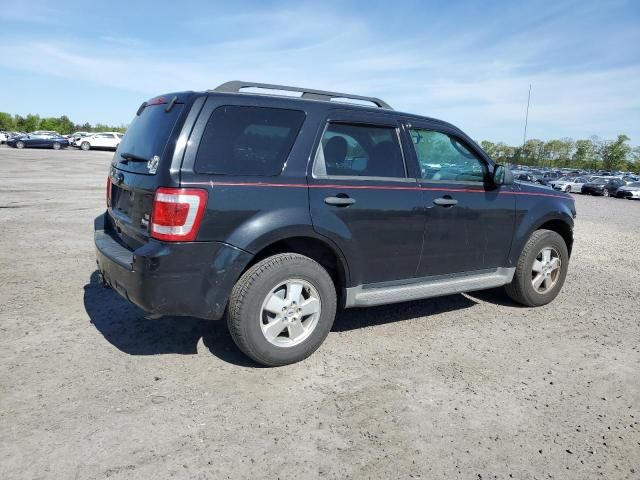 2011 Ford Escape XLT