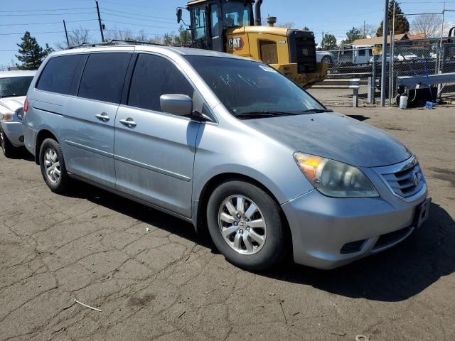 2010 Honda Odyssey EXL