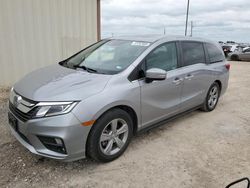 2020 Honda Odyssey EXL en venta en Temple, TX