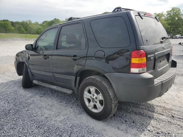 2006 Ford Escape XLT