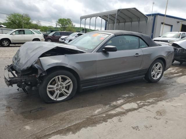 2010 Ford Mustang