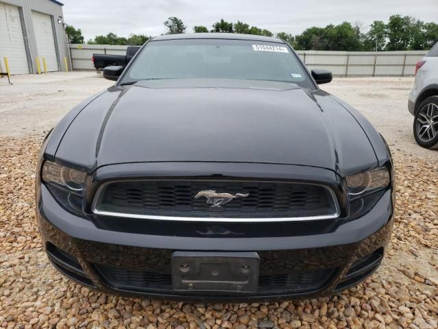 2013 Ford Mustang