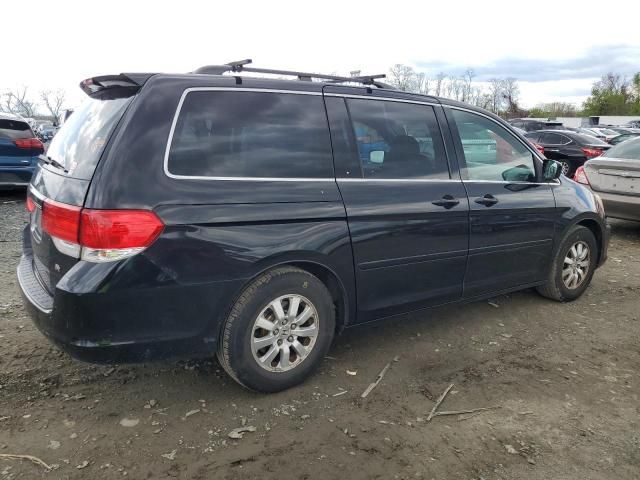 2010 Honda Odyssey EXL