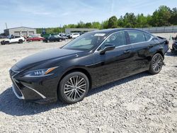 2024 Lexus ES 350 Base for sale in Memphis, TN