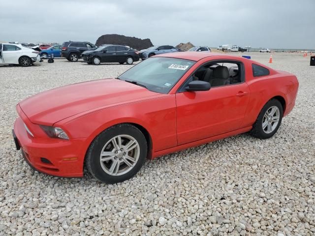 2013 Ford Mustang