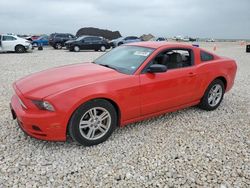 2013 Ford Mustang for sale in Temple, TX