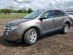 Ford Edge salvage cars for sale: 2013 Ford Edge SEL