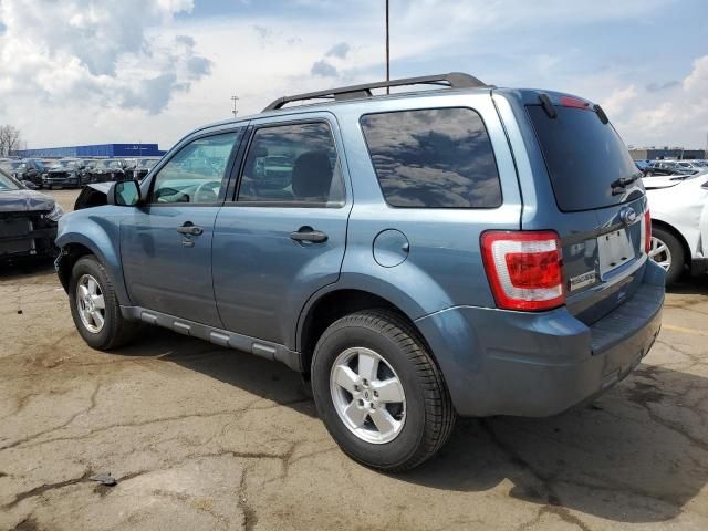 2011 Ford Escape XLT