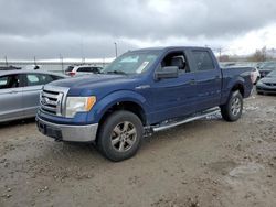 Ford Vehiculos salvage en venta: 2011 Ford F150 Supercrew