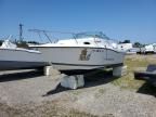 1999 Seaswirl Boat