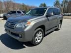2013 Lexus GX 460