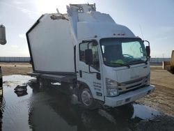 Salvage trucks for sale at Brighton, CO auction: 2016 Isuzu NPR HD Billboard Truck