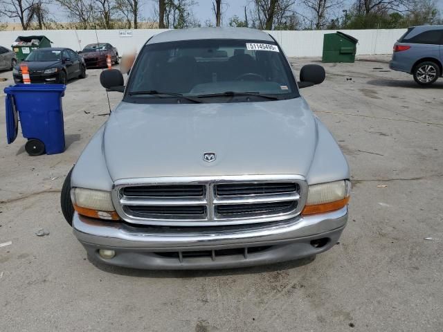 2000 Dodge Dakota Quattro