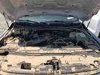 2024 Ford F450 Super Duty
