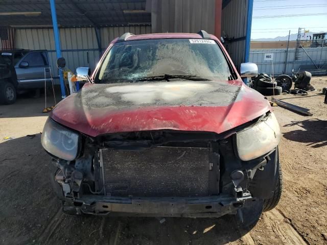 2010 Hyundai Santa FE GLS