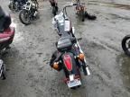 2004 Honda VT750 CA